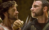 X-Men Origins: Wolverine HD wallpaper #12