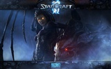 StarCraft 2 HD обои #10