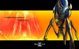 StarCraft 2 HD обои #12