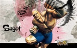 Super Street Fighter 4 Fonds d'écran HD #10