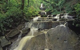 Waterfall streams wallpaper (7) #5
