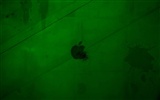 Apple Thema Tapete Album (17) #7