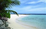 Beach scenery wallpapers (1)