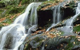 Waterfall streams wallpaper (8) #4