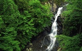 Waterfall-Streams Wallpaper (8) #9
