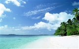 Beach scenery wallpapers (2) #10