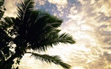 Beach scenery wallpapers (2) #15