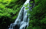 Waterfall-Streams Wallpaper (9) #11