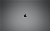 tema de fondo de pantalla de Apple álbum (21) #15