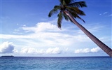 Beach scenery wallpapers (3) #2