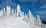 Fond d'écran panoramique de neige (1) #4