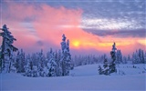 Fond d'écran panoramique de neige (1) #10