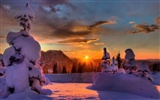 Fond d'écran panoramique de neige (2)