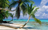 Beach scenery wallpapers (7) #10