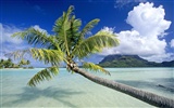 Beach scenery wallpapers (7) #11