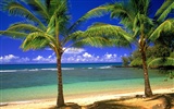 Beach scenery wallpapers (7) #12
