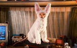 Kočky a psi: Revenge of Kitty Galore tapety HD #12