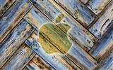Apple темы обои альбом (31) #10