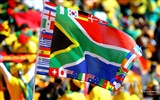 Sudáfrica la Copa Mundial de fondos de escritorio de serie (3) #3