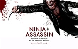 Ninja Assassin HD tapetu #24
