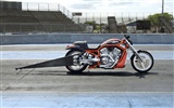 Harley-Davidson Wallpaper Album (2) #13