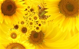 Beautiful sunflower close-up wallpaper (1) #19