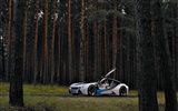 BMW Concept Car tapety (2) #12