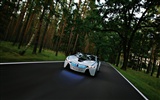BMW Concept Car tapety (2) #15