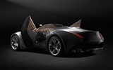 BMW Concept Car tapety (2) #19