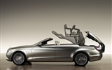 Mercedes-Benz fondos de escritorio de concept car (1) #7