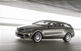 Mercedes-Benz fondos de escritorio de concept car (1) #11