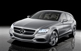 Mercedes-Benz fondos de escritorio de concept car (1) #18