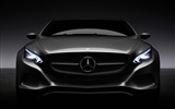 Mercedes-Benz Концепт-кар обои (2) #8