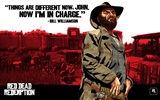 Red Dead Redemption HD Wallpaper #12