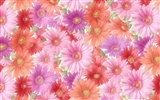 fleurs fond d'écran Widescreen close-up (13) #7