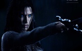 Underworld: Rise of the Lycans HD wallpaper #23