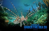 Under the Sea 3D 海底世界3D 高清壁紙 #1