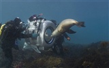 Under the Sea 3D HD Wallpaper #3