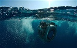 Under the Sea 3D 海底世界3D 高清壁纸38