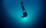 Under the Sea 3D HD Wallpaper #39