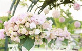 Svatby a květiny tapety (1)