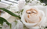 Свадьбы и свадебные кольца обои (1) #2