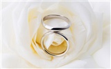 Свадьбы и свадебные кольца обои (2) #18