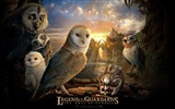 Legend of the Guardians: The Owls of Ga'Hoole 守卫者传奇(一)15