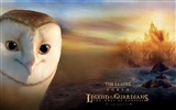 Legend of the Guardians: The Owls of Ga'Hoole 守卫者传奇(一)16