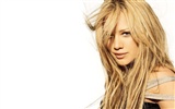 Hilary Duff 希拉里·達芙 美女壁紙(二) #5