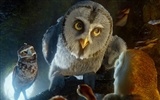 Legend of the Guardians: The Owls of Ga'Hoole (2) #29