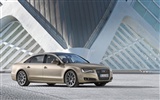 Audi A8 L W12 Quattro - 2010 fondos de escritorio de alta definición #4
