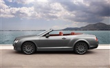 Bentley Continental GTC Speed - 2010 HD обои #7