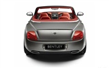 Bentley Continental GTC Speed - 2010 HD обои #11